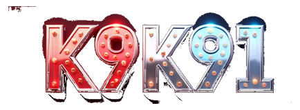 k9k91 logo